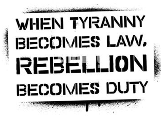 David Wood tweet media