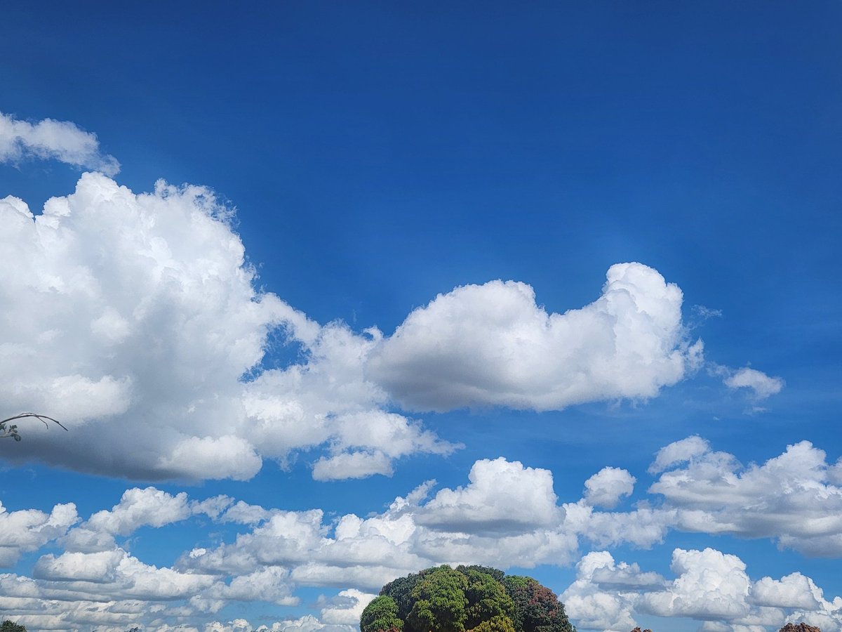 georgie 🇷🇼 tweet media