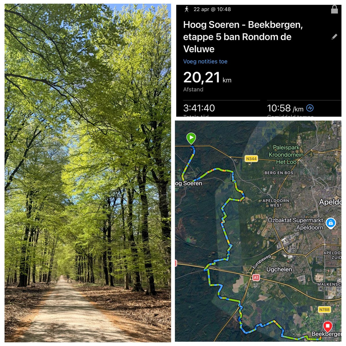Etappe 5 van #RondomDeVeluwe prachtige route diep door de prachtige Veluwse bossen 🤩
#Wandelen #DeVeluwe #Gelderland #Lente