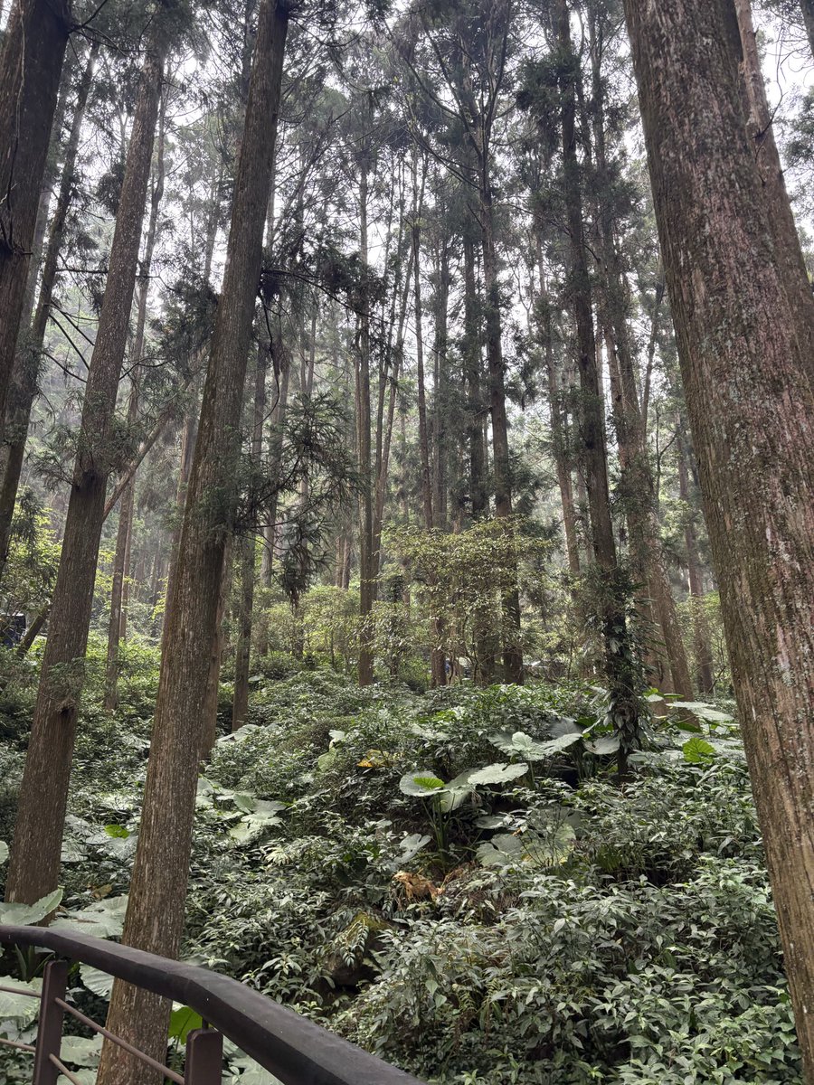 ethun621's tweet photo. 這條path不知道會把我帶領到哪裡，讓我在茂密的森林之中尋找妳與妳相見，好好坐下來having deep conversations, enjoying the drinks and the time. https://t.co/zDWwKNAKBE