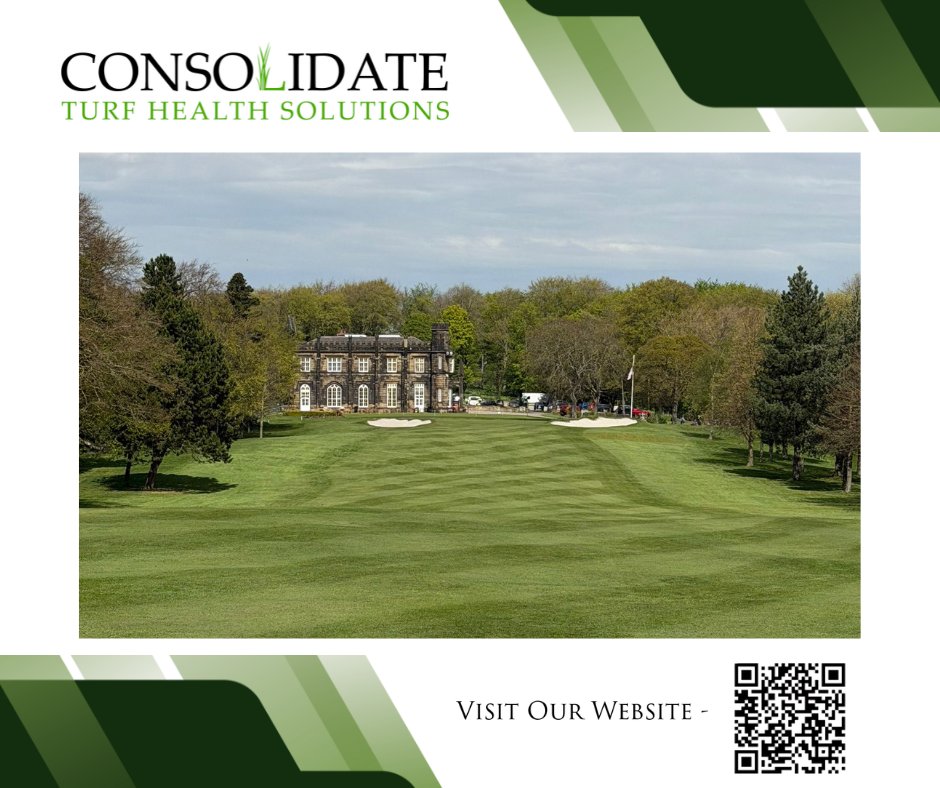 Consolidate Turf tweet media