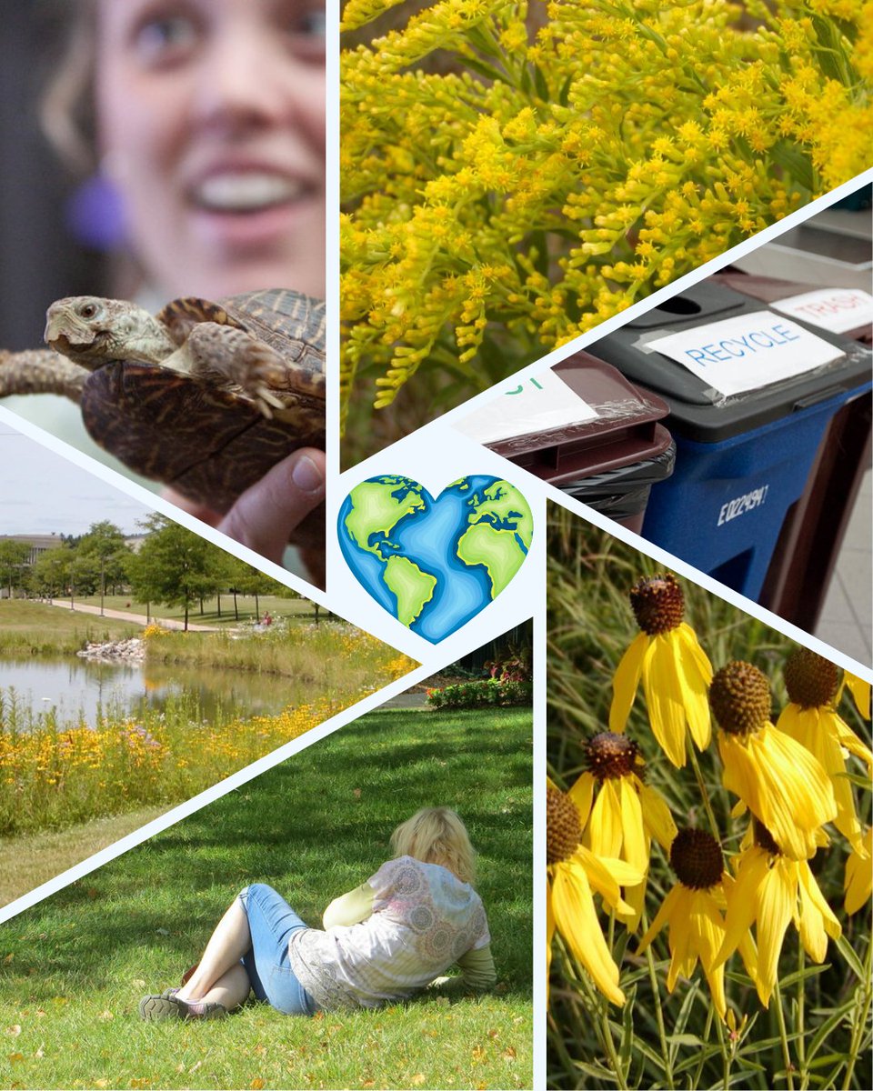 LifeWcc's tweet photo. Love your school, love your planet 💚

#EarthDay #WCCSDA #CampusLife https://t.co/MqoUhTGnxv