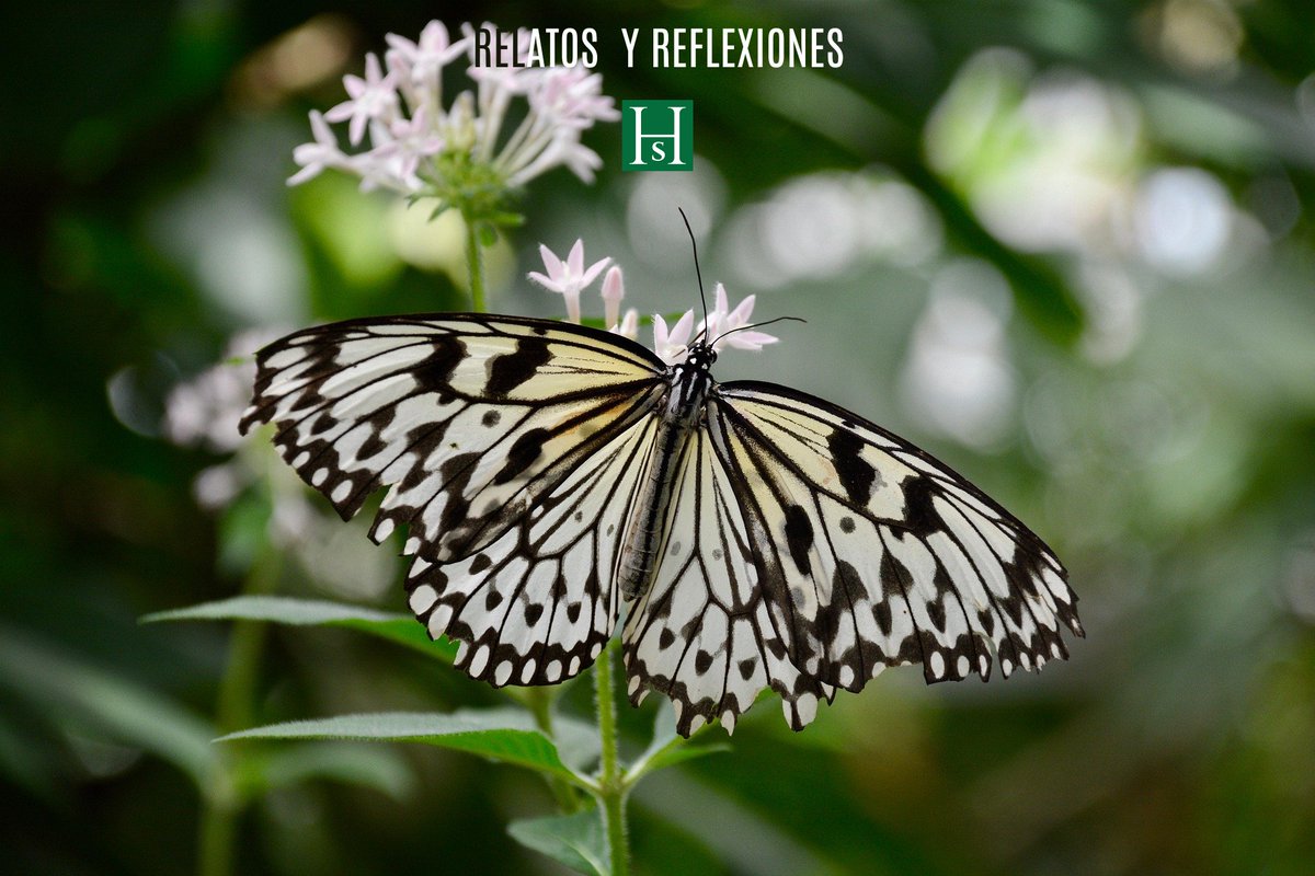 RELFEXIONES de Anika=  Senderos de amistad
hojassueltas.es/?p=29038