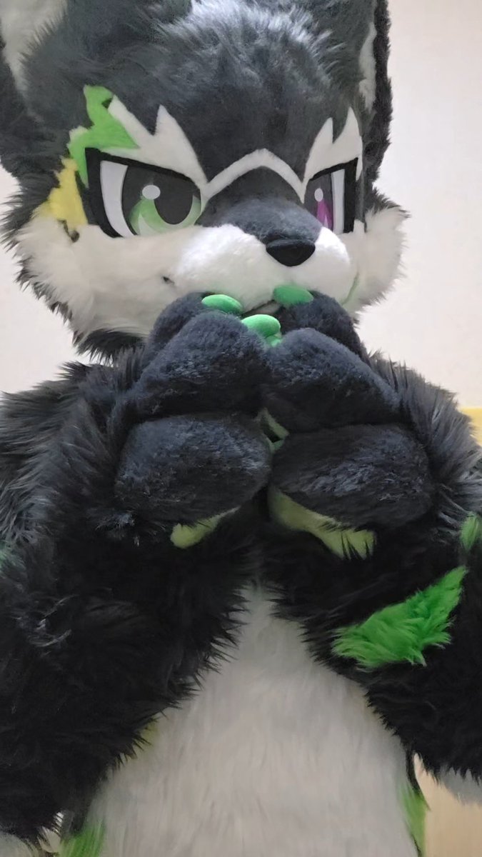 XENO/ゼノ tweet media