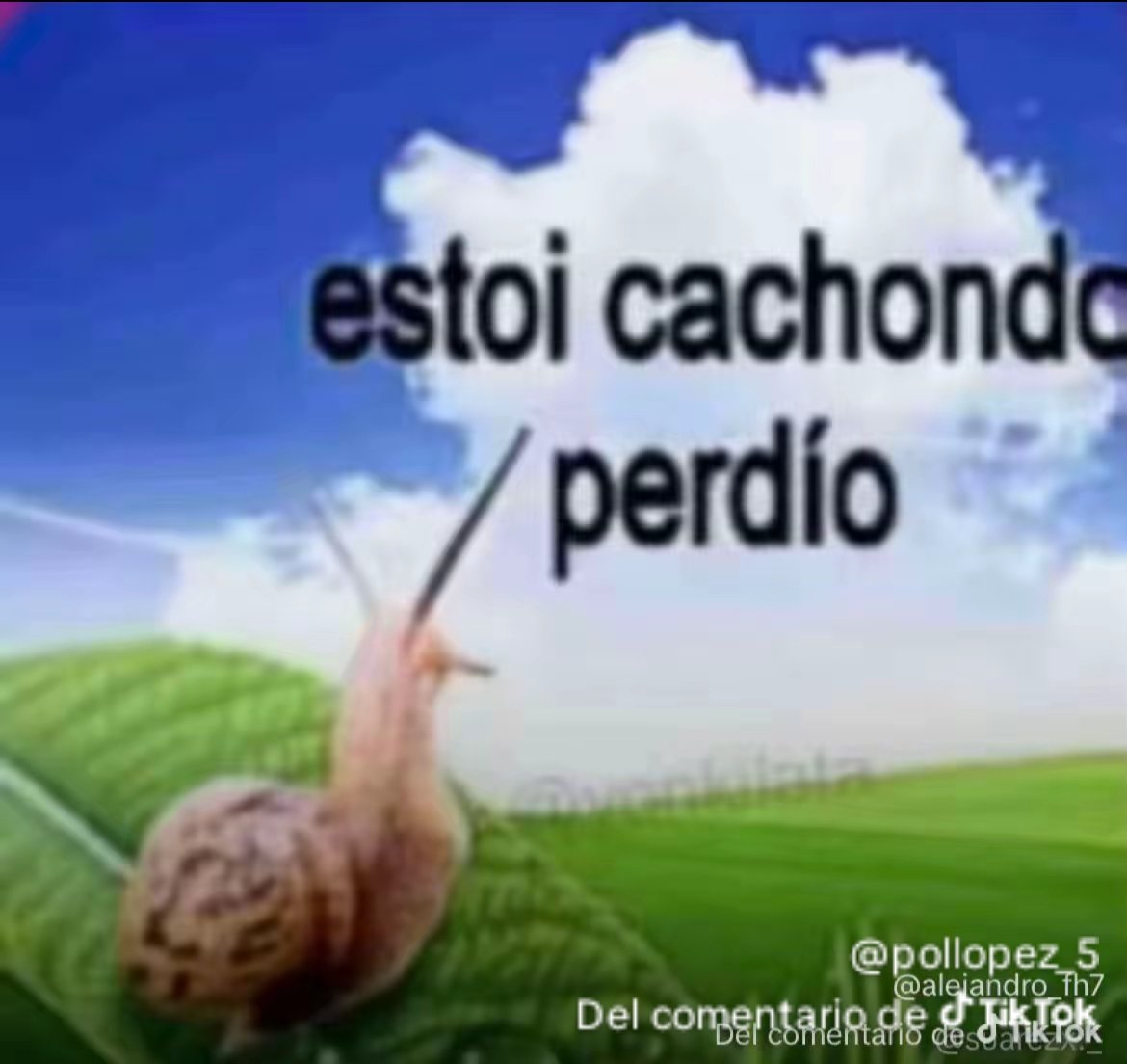 ChupaCulos tweet media