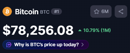 TorugãoCrypto🎖️ tweet media