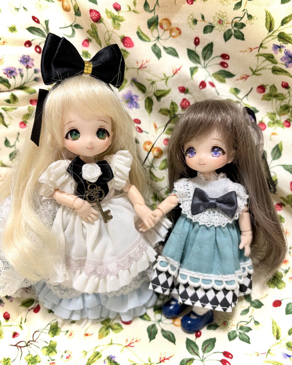 今夜のドール撮影120分一本勝負 お題【ありす】 2人のアリス