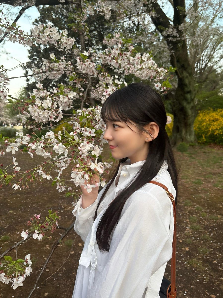 bokuao_bot's tweet photo. #今井優希『まったり時間』
https://t.co/Uzc9aIwjiX https://t.co/4spuwGT3UC
