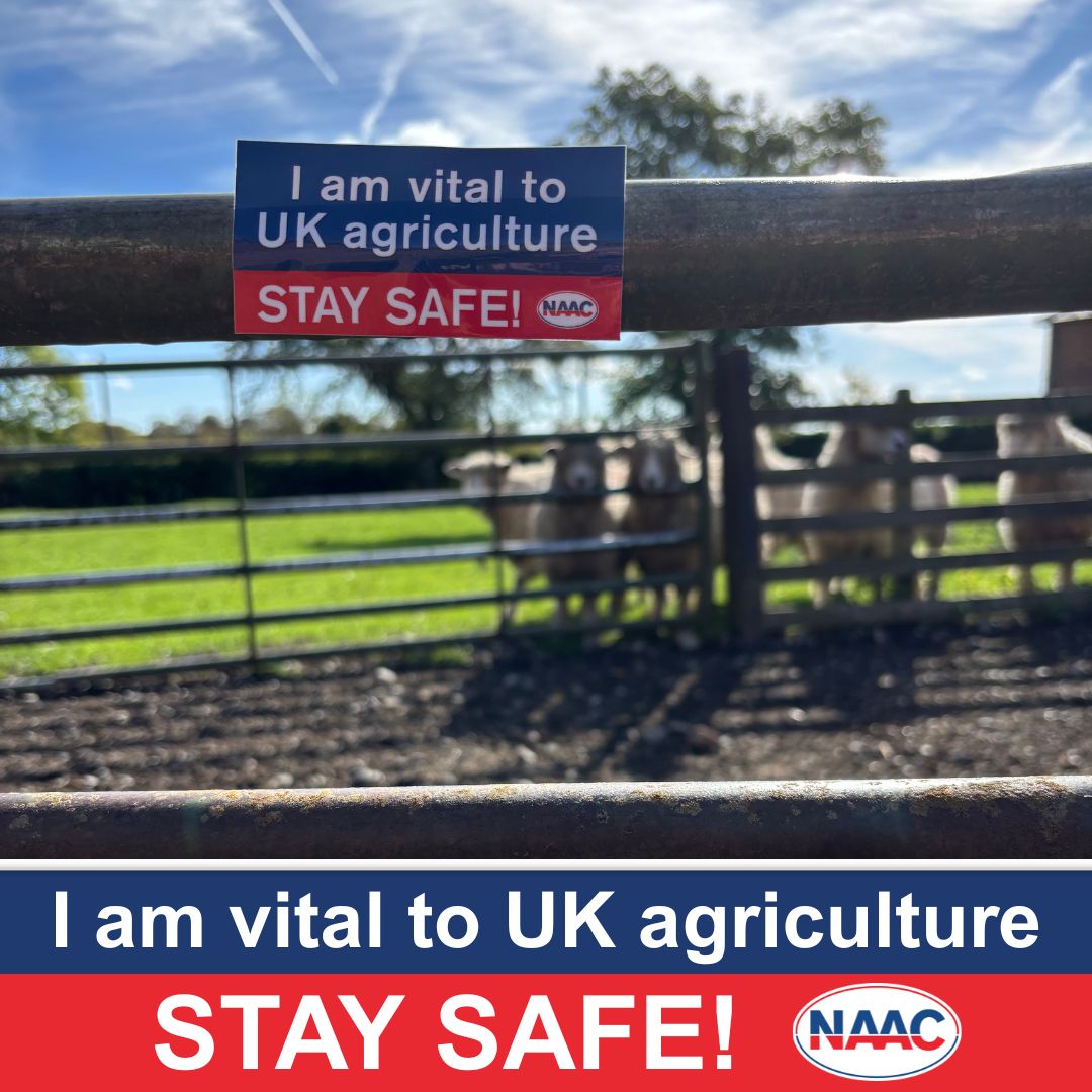 The NAAC tweet media