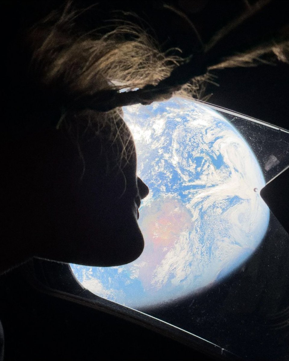 Democrats tweet media