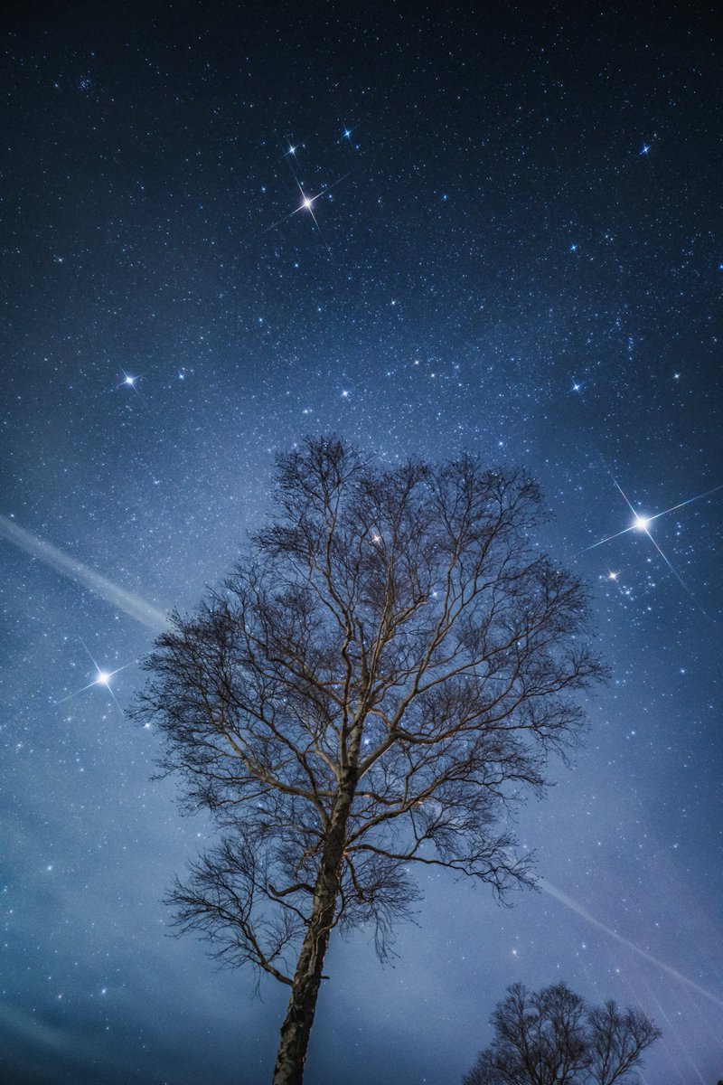 ごりかめ️️️ 𖤐⸝⋆ tweet media