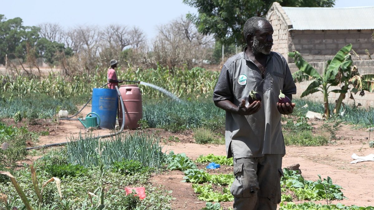 Alliance Biodigesteur Afrique de l’Ouest et Centre tweet media