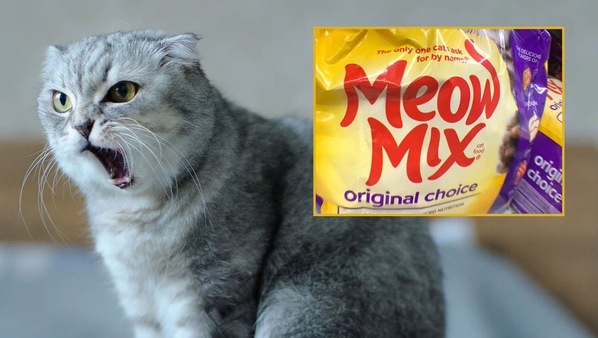 TheBabylonBee's tweet photo. Meow Mix Sued For False Advertising After Study Shows Cats Were Just Making Standard Cat Noises And Not Asking For A Particular Brand Of Food https://t.co/oISNT2IjPO https://t.co/8mtKwpkgy0