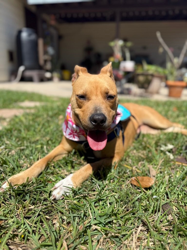 Lisa Brabson. tweet media