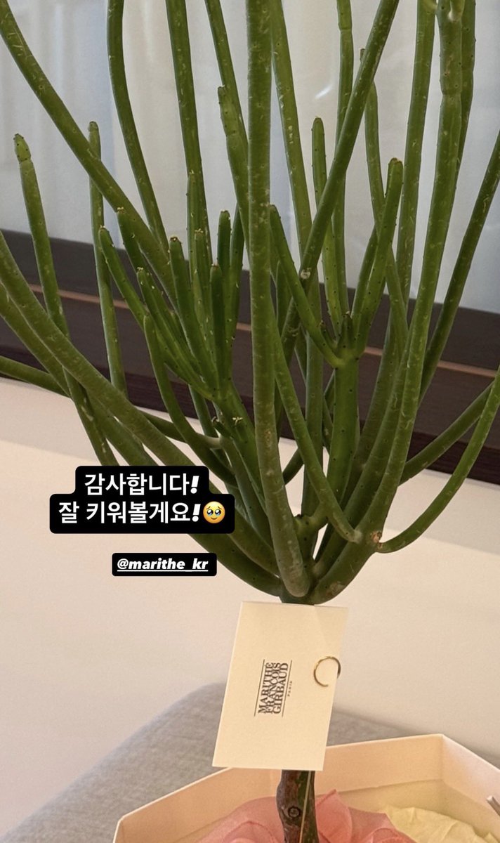 식물키우는 여자 진짜 개좋네ㅋㅋ