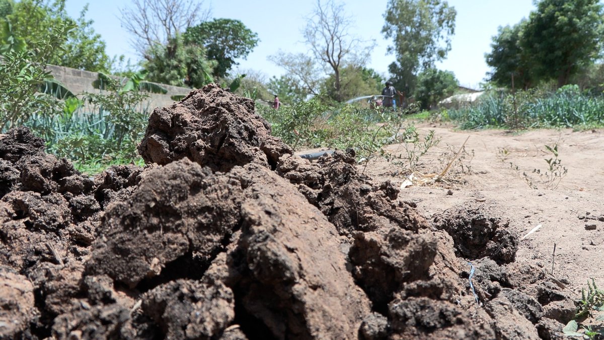 Alliance Biodigesteur Afrique de l’Ouest et Centre tweet media