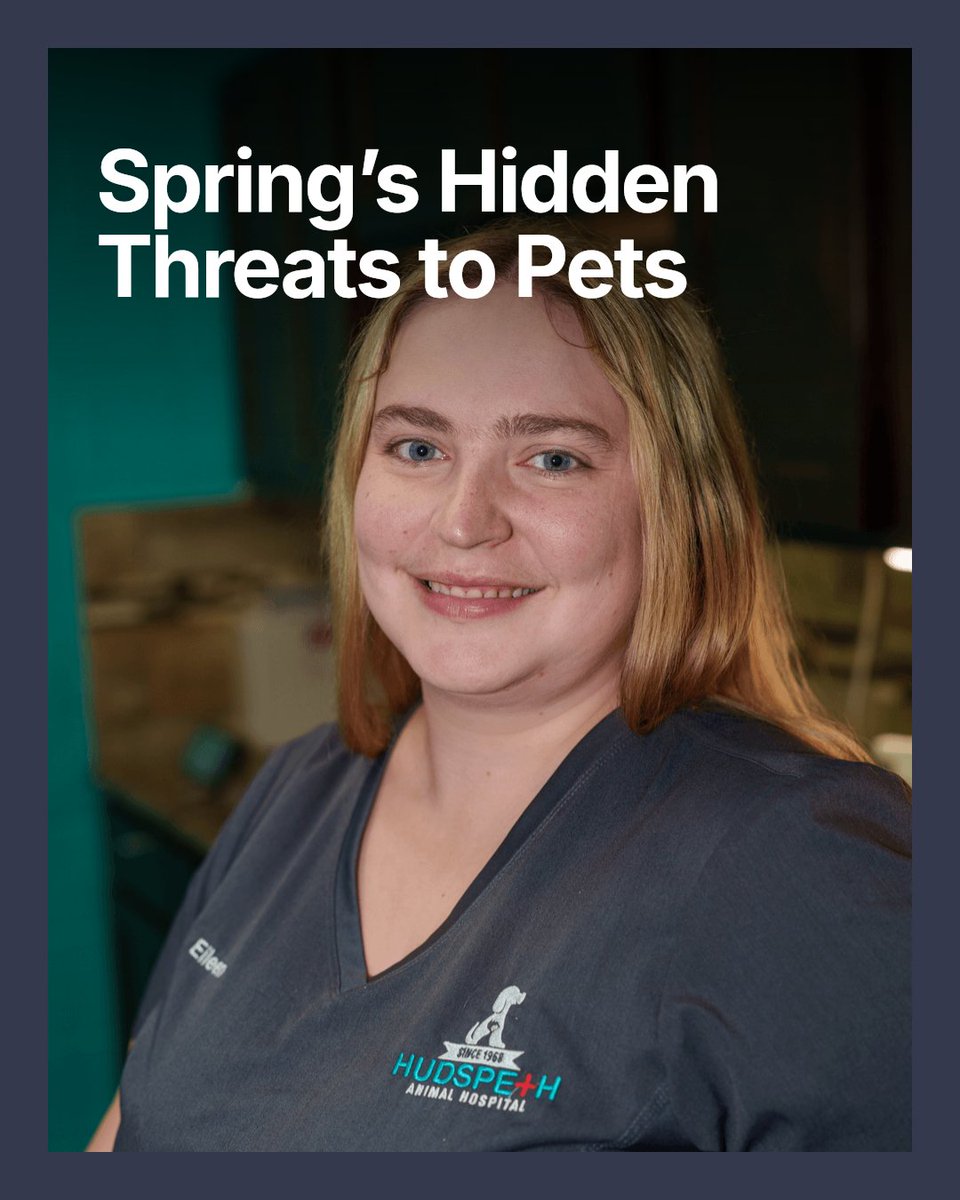Worried about your pet's health this spring in Georgia? Fleas, ticks, heartworm, and allergies spike this season. Protect your furry friend with year-round prevention and regular vet check-ups.