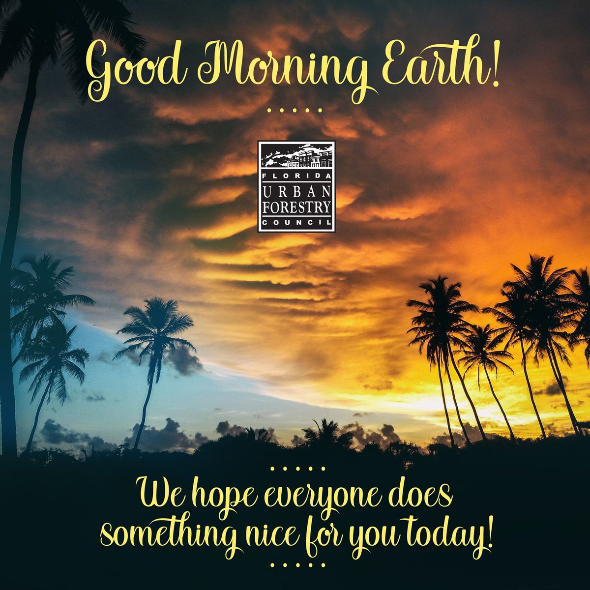 Florida Urban Forestry Council tweet media