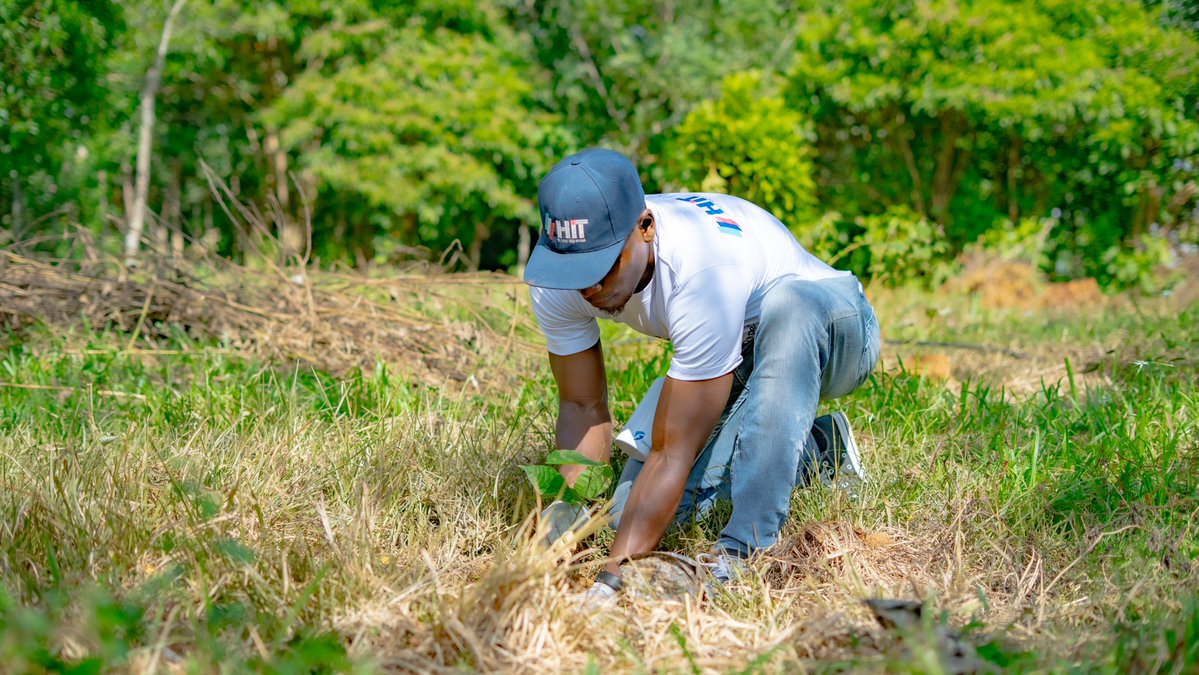 HIT Puerto Río Haina tweet media