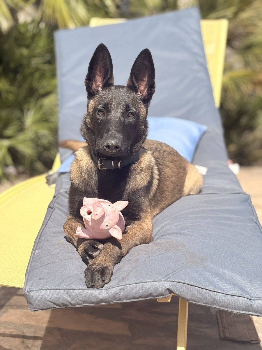 Naïri Zadourian tweet media