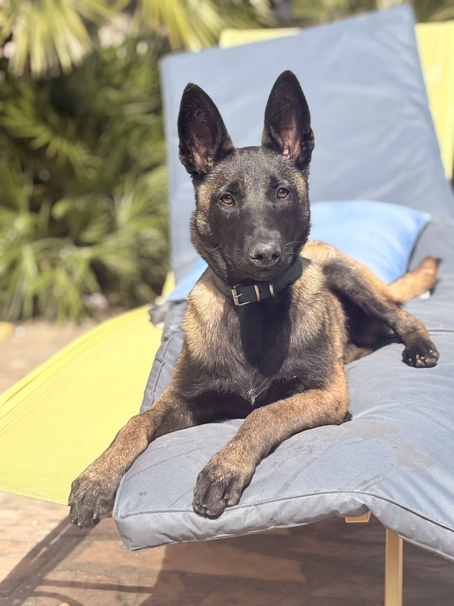 Naïri Zadourian tweet media