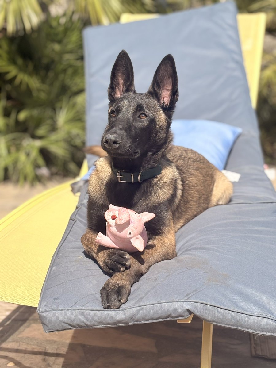 Naïri Zadourian tweet media