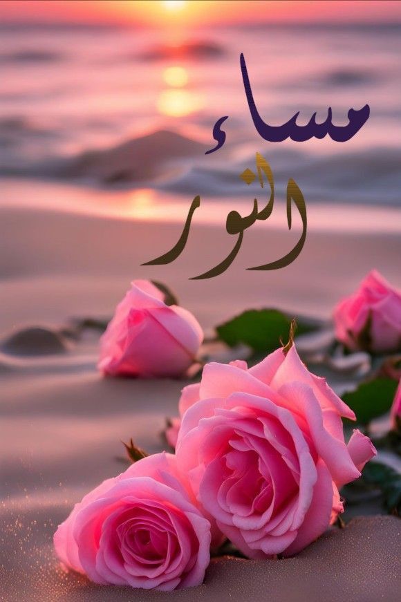 بن سليمان 8 tweet media