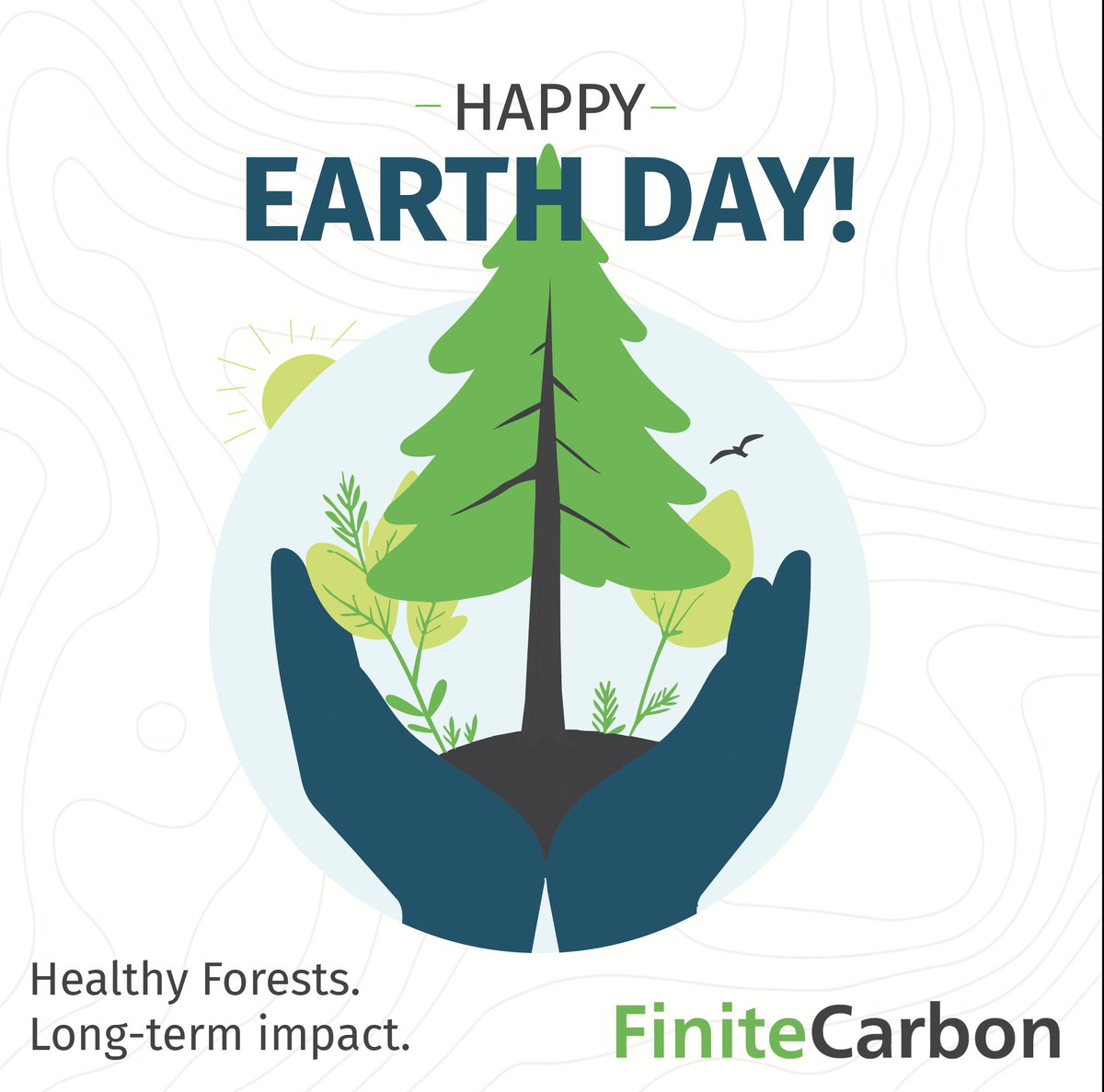 A moment of appreciation for our forests this Earth Day🌲 Earth Day ...