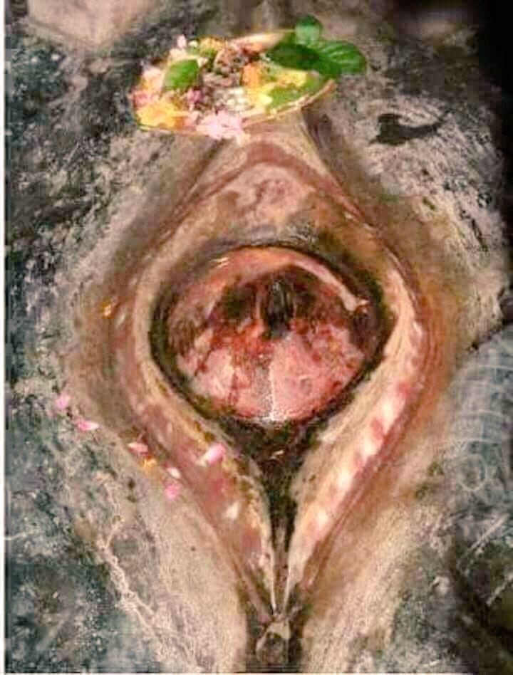 "माँ कामाख्या की जय!
उनकी शक्ति से जीवन में शांति और शक्ति आए। "