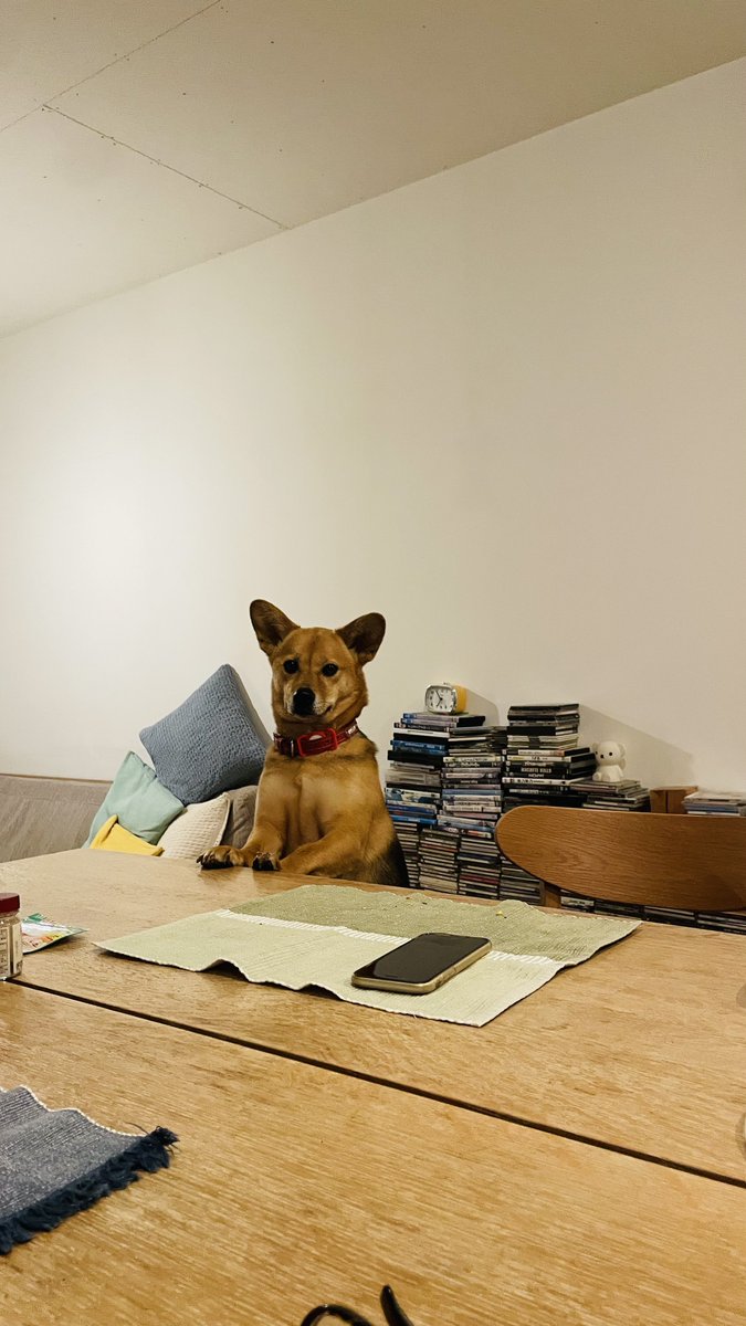 岸政彦 tweet media