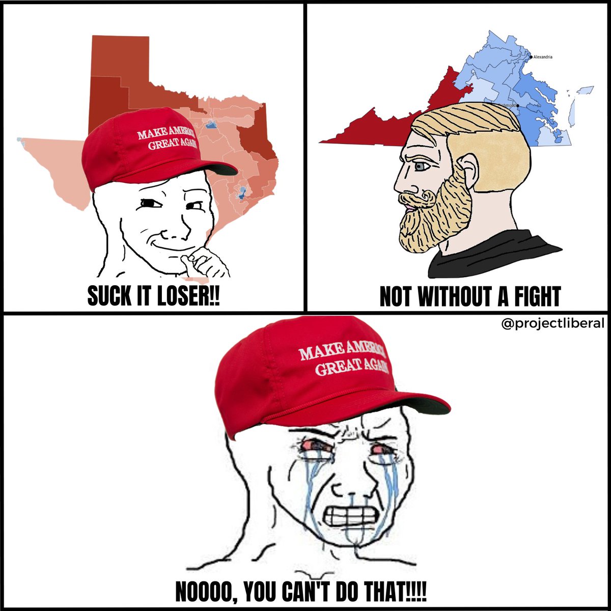 Project Liberal (@projectliberal) on Twitter photo 