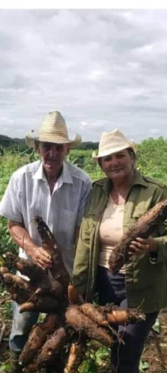 Juan Guerra Gómez tweet media