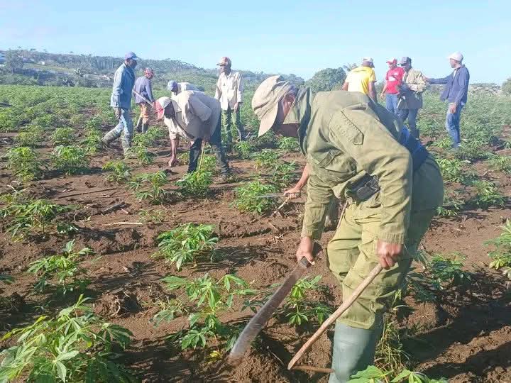 Juan Guerra Gómez tweet media