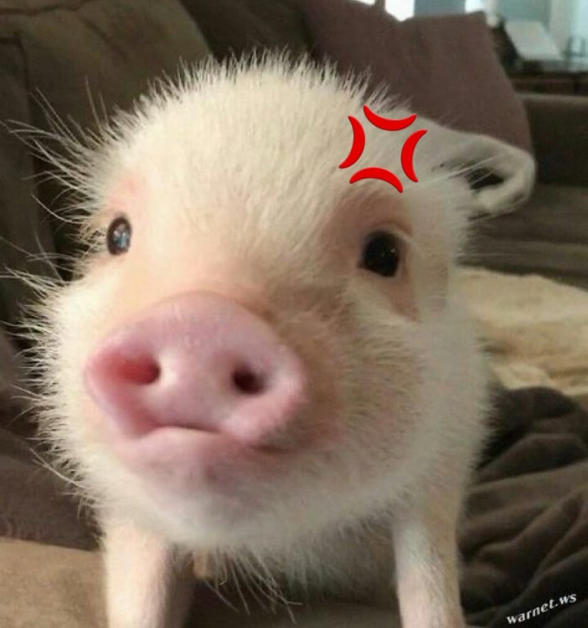 โอเล่จัง🐽 (𝐠𝐠‎.) tweet media