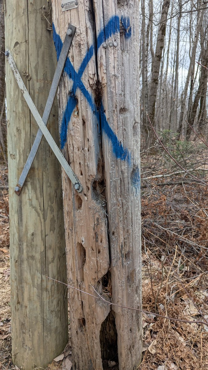 Micho Schumann tweet media