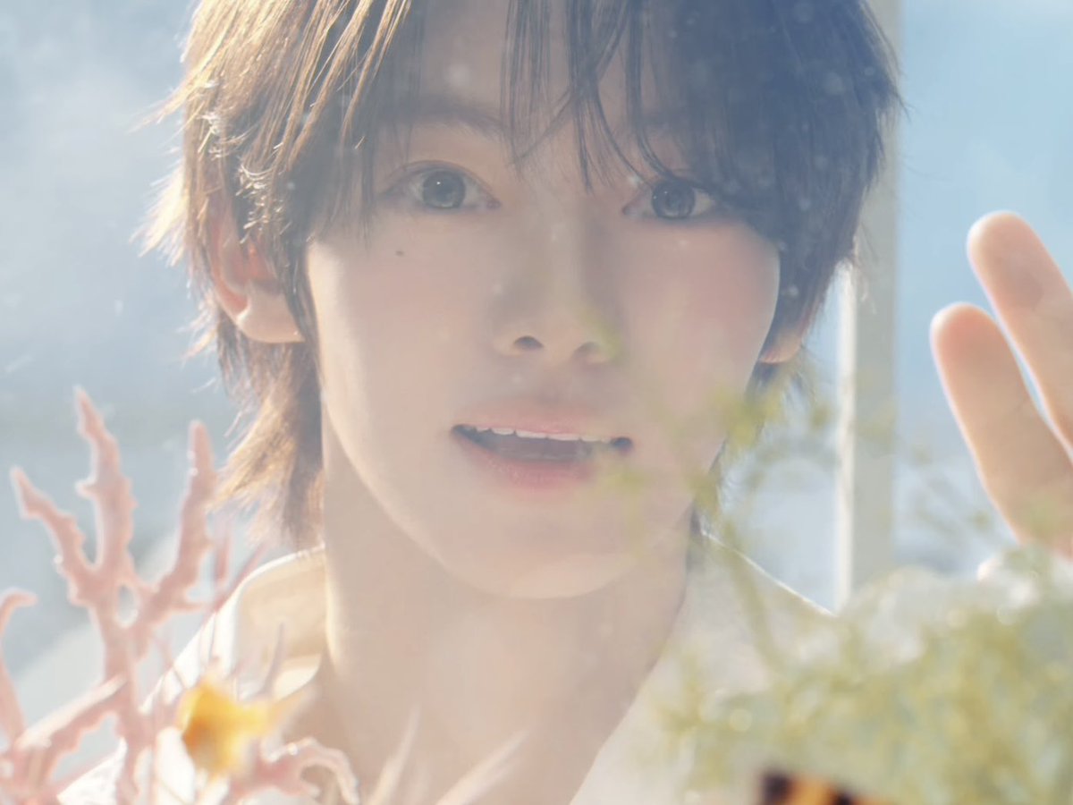 티티🎐 tweet media