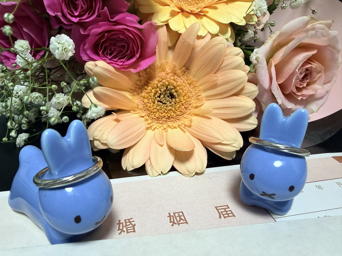 芳乃 tweet media