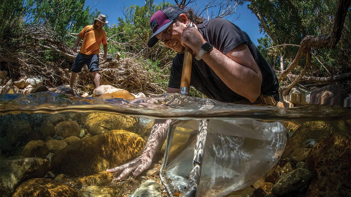 ubalumni's tweet image. #EarthDay inspiration: A global research team, co-led by #UBuffalo and backed by NASA, is mapping South Africa’s Greater Cape Floristic Region, one of the most biodiverse places on Earth.