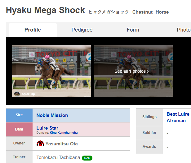I dunno if there are any SNK-loving tios/tias who're also into Umamusume and keiba, but there's actually a horse named Hyaku Mega Shock that's doing dirt races in the Japanese regional series.