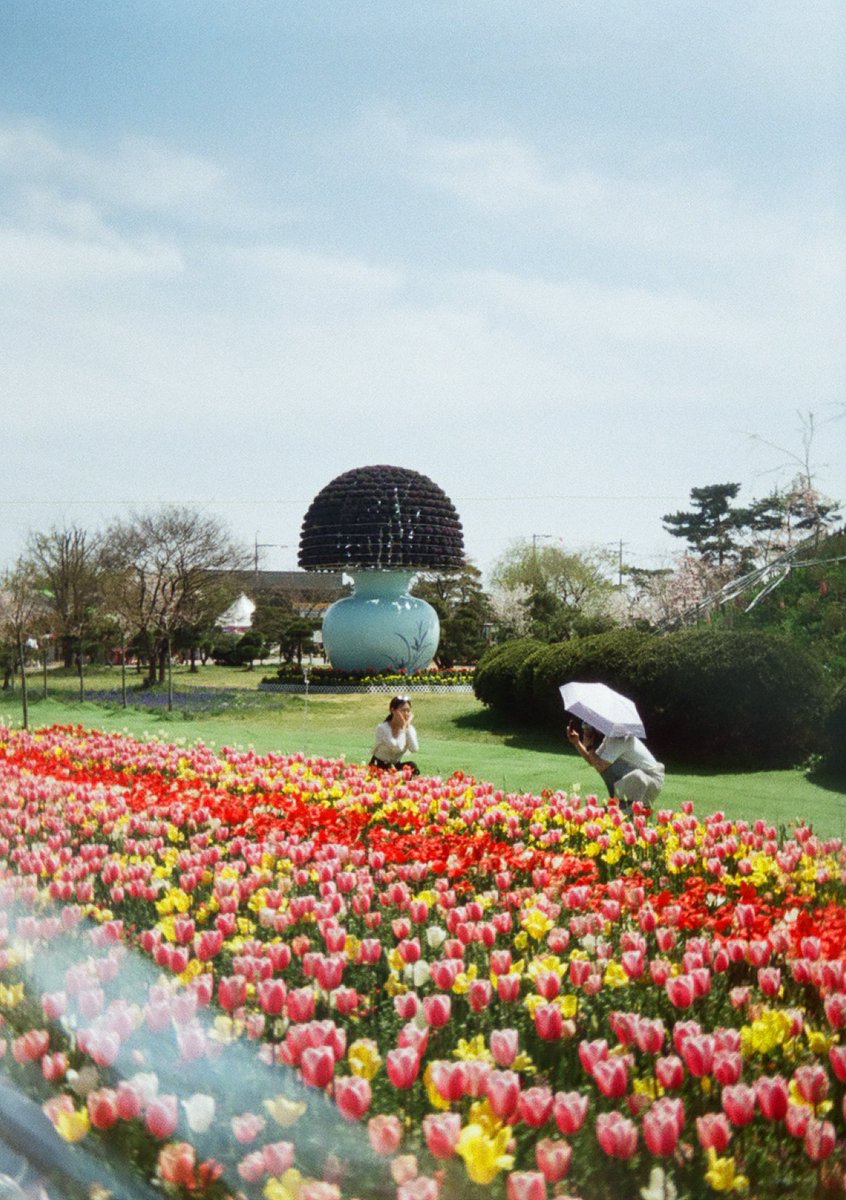 alimorejello's tweet photo. 톰 누크 어디예요?🌷🐝 

#kodakektarh35 https://t.co/4uPPh3gaaZ