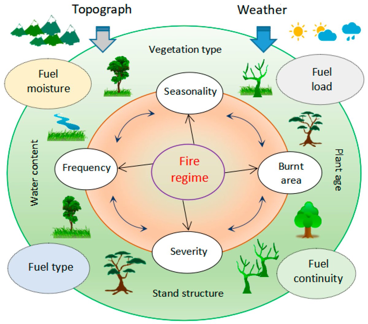 Fire_MDPI's tweet image. #OpenAccess
Refining Ecological Techniques for Forest Fire Prevention and Evaluating Their Diverse Benefits
 
👉brnw.ch/21x1Pqr
