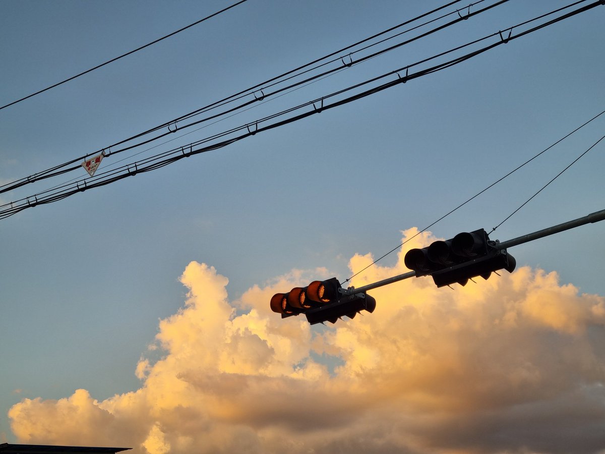 🎪🐙고동🐙 tweet media