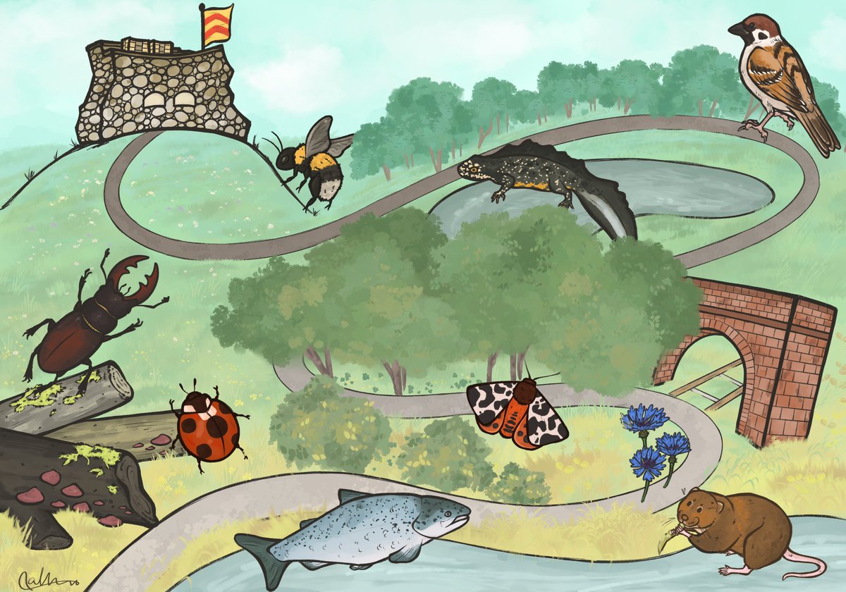 collie dog🌱 tweet media