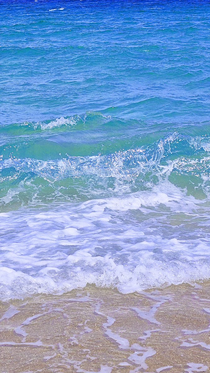 ⭐️한소야💚 tweet media