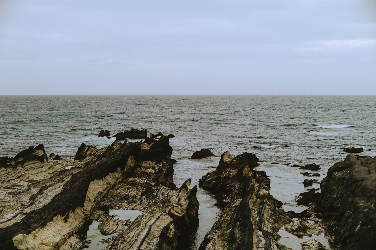 Choco Choco📸 tweet media