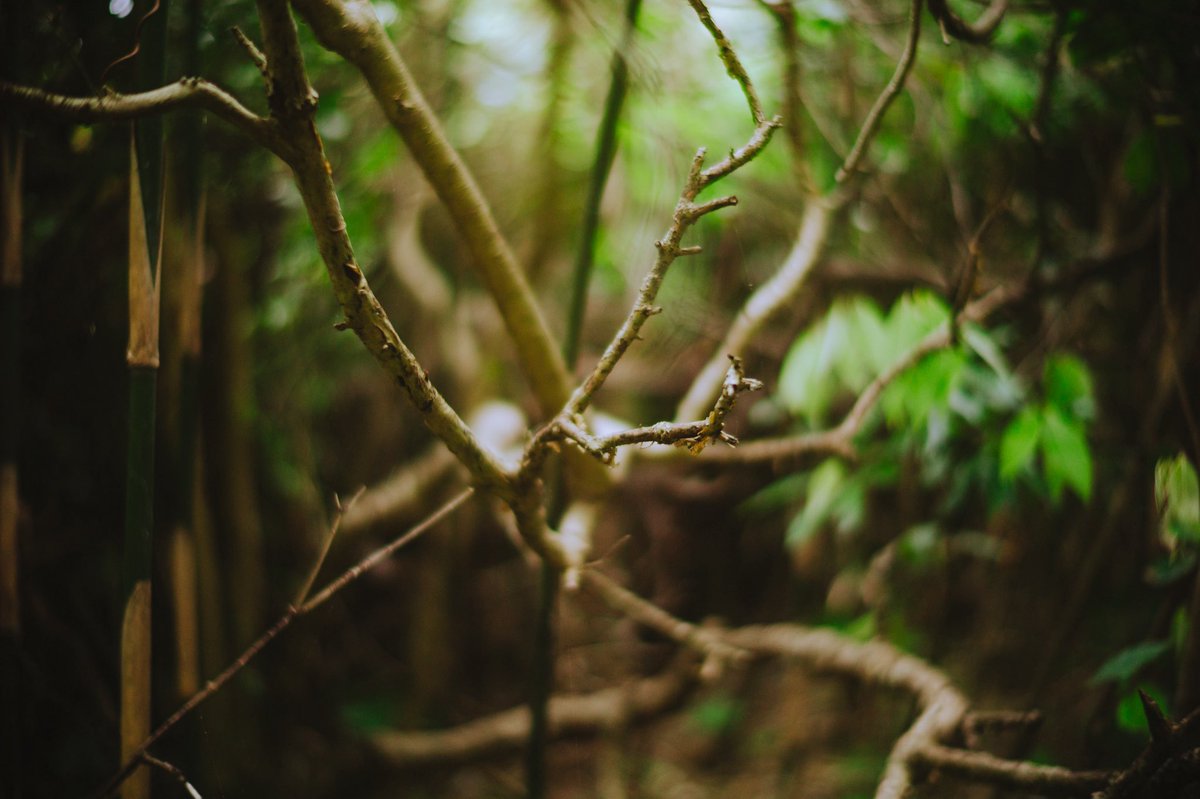 Choco Choco📸 tweet media