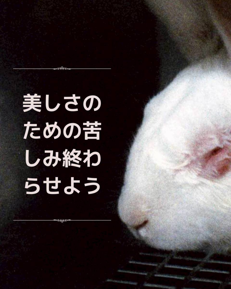 動物実験の廃止を求める会 JAVA tweet media