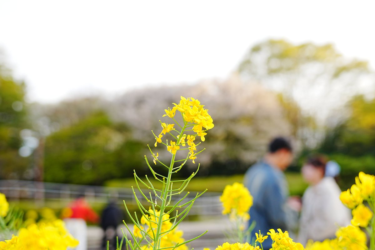 tanuchoo's tweet photo. お久しぶりです😌
相模原でこんな感じの写真を撮ってます✨
良かったらフォローお願いします🙇
南橋本で居酒屋ルーを経営してますので、最寄りの方は是非是非お寄りください💕
#ZEUS #相模原  #写真撮ってる人と繫がりたい  #カメラ好き  #mabo #居酒屋ルー https://t.co/DOFFoIYbAc