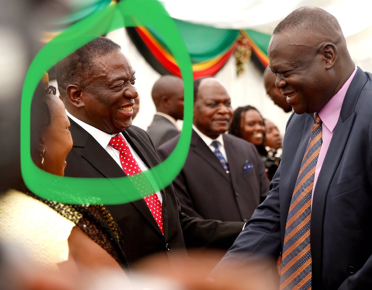 President Anti 2030 /Tyora Zvigananda tweet media