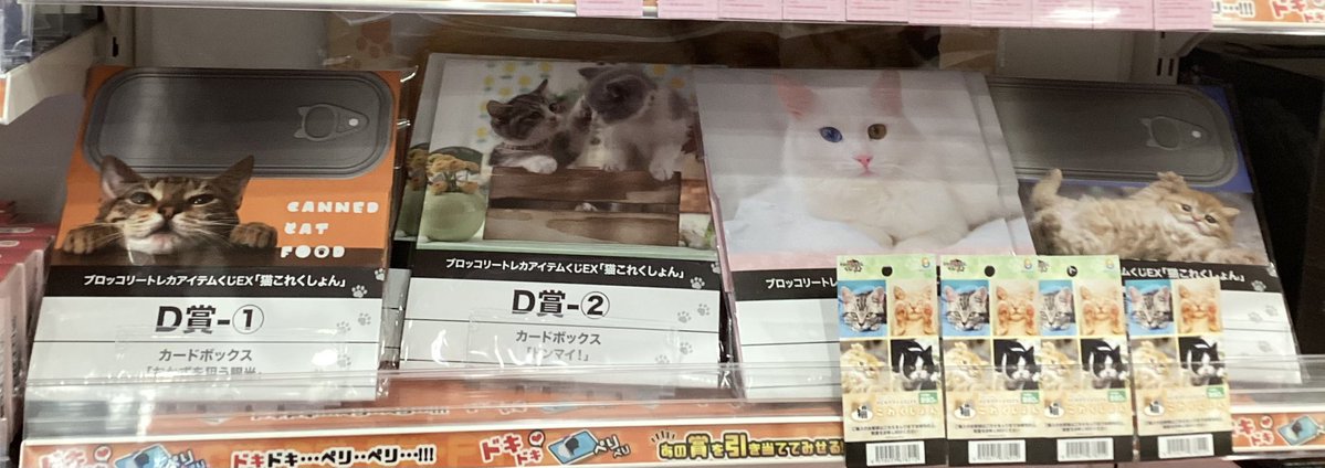 本日もご来店いただきありがとうございます🙇‍♀️✨
明日も元気よく1️⃣3️⃣時に営業開始いたします‼️

\\ #ブロッコリー  #トレカアイテムくじEX //
【 #猫これくしょん 】
🐈‍⬛1️⃣回 9️⃣9️⃣0️⃣円🐈
にゃ、にゃんと‼️
ファイナルドロー賞まであと6️⃣回と残り僅かです🥹✨

明日も皆様のご来店お待ちしております🐧